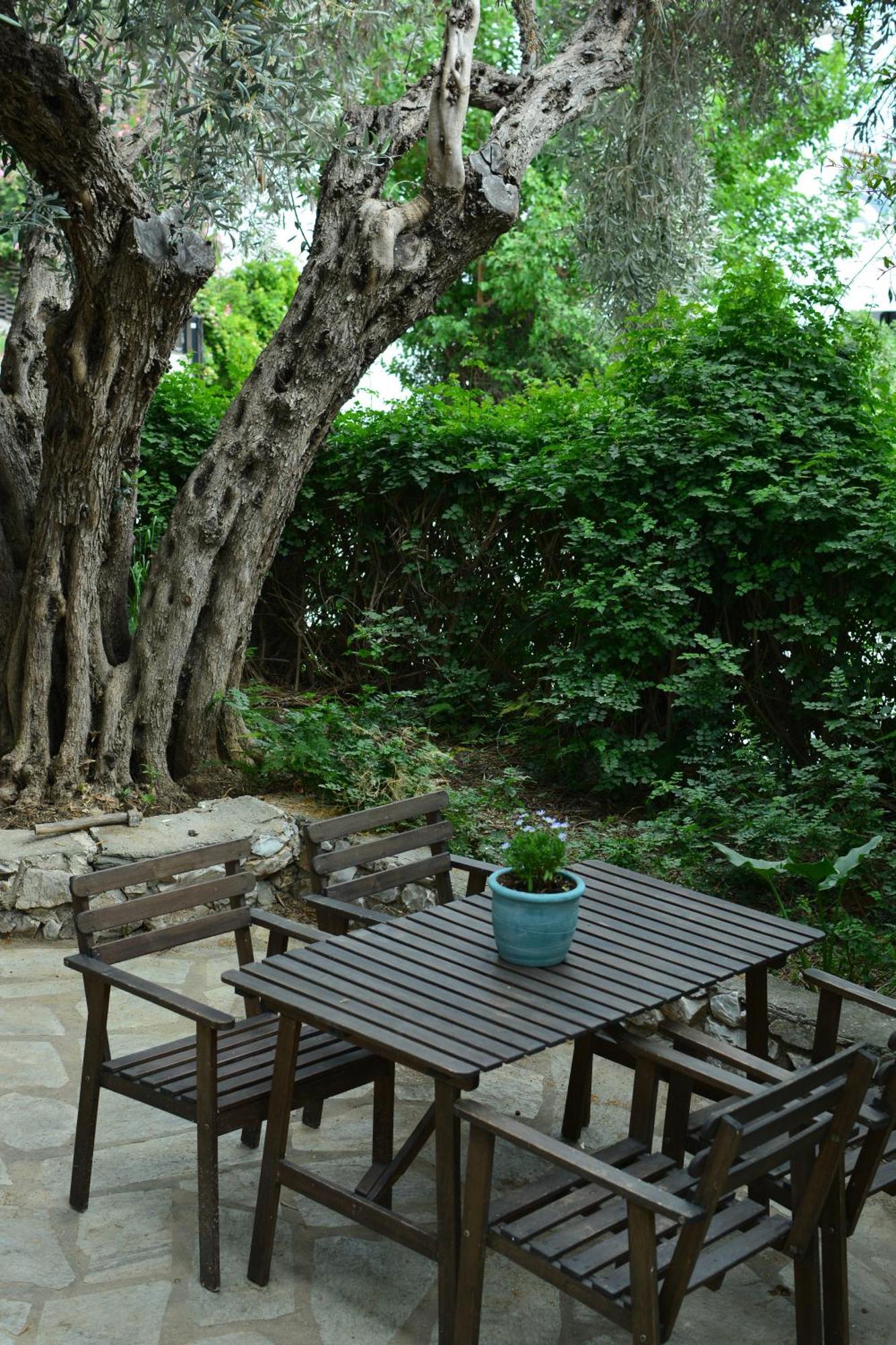 Greekowl Apartments Skiathos Exterior foto