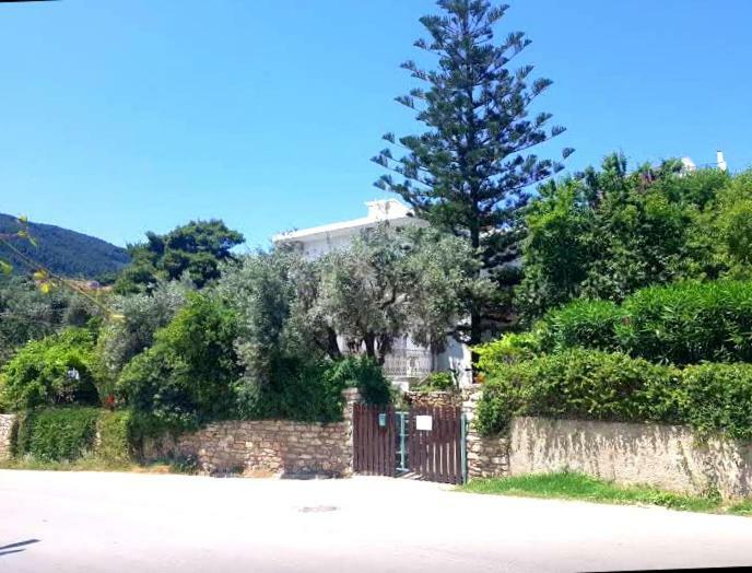 Greekowl Apartments Skiathos Habitación foto